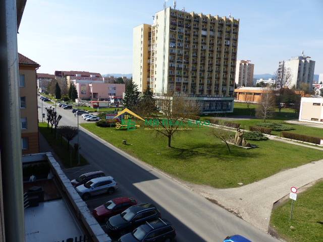 P1100577.JPG