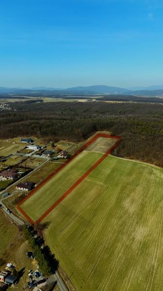dji_fly_20250308_130642_0026_1741446833377_photo.jpg