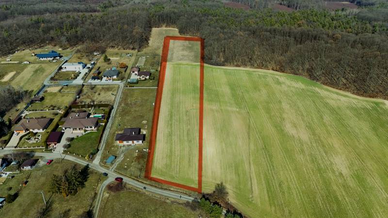 dji_fly_20250308_124628_0004_1741446634450_photo (1).jpg