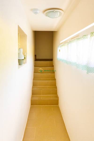 Image , 11_42_33.png
