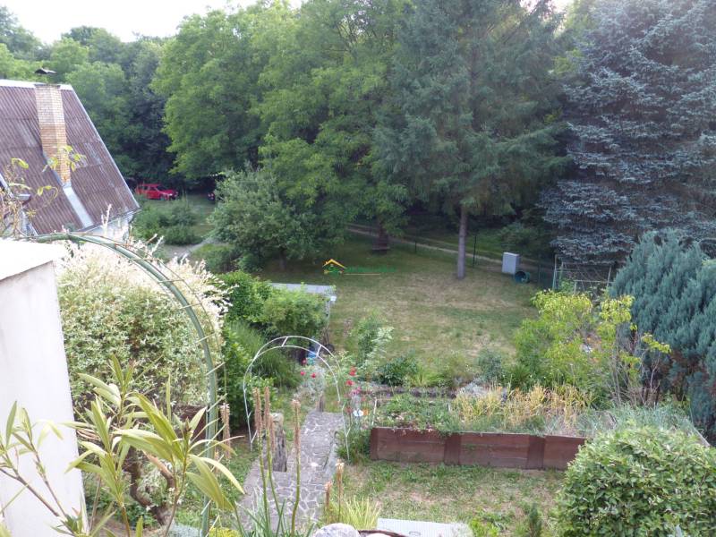 P1120209.JPG