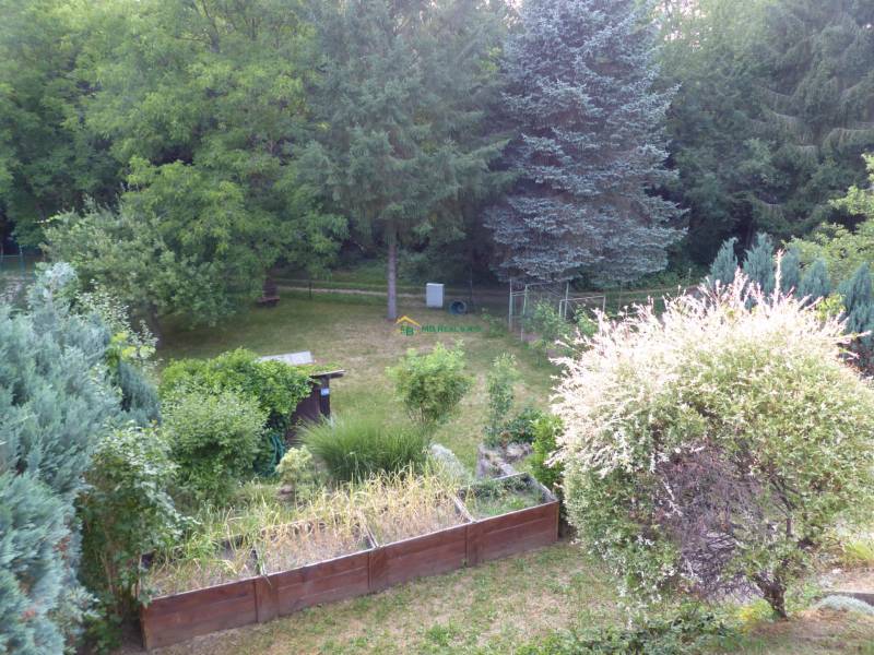 P1120210.JPG