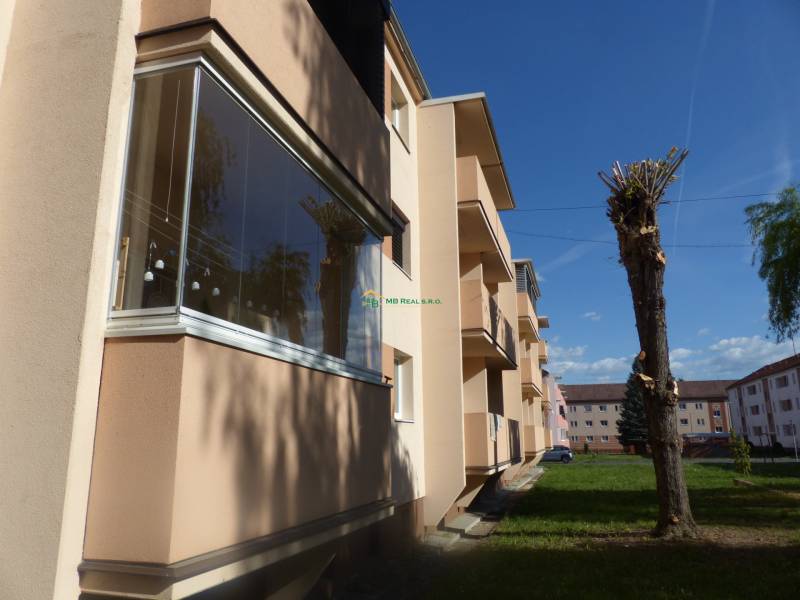P1120664.JPG